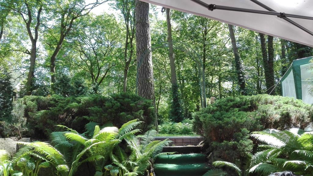 Villa Le Matin Konstancin-Jeziorna Extérieur photo
